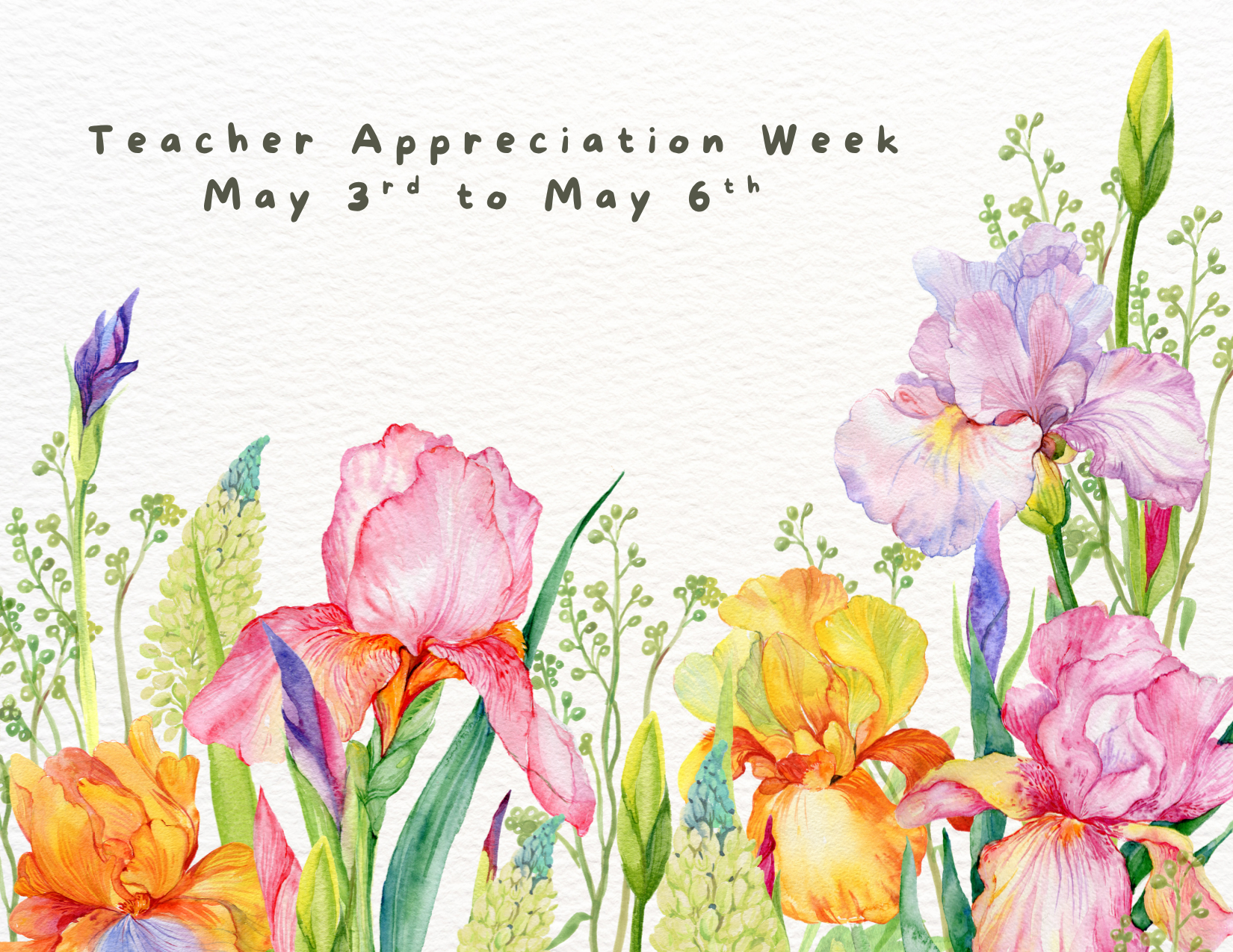 Teacher Appreciation Week