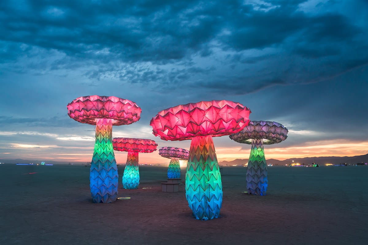 Photograph by Rene Smith