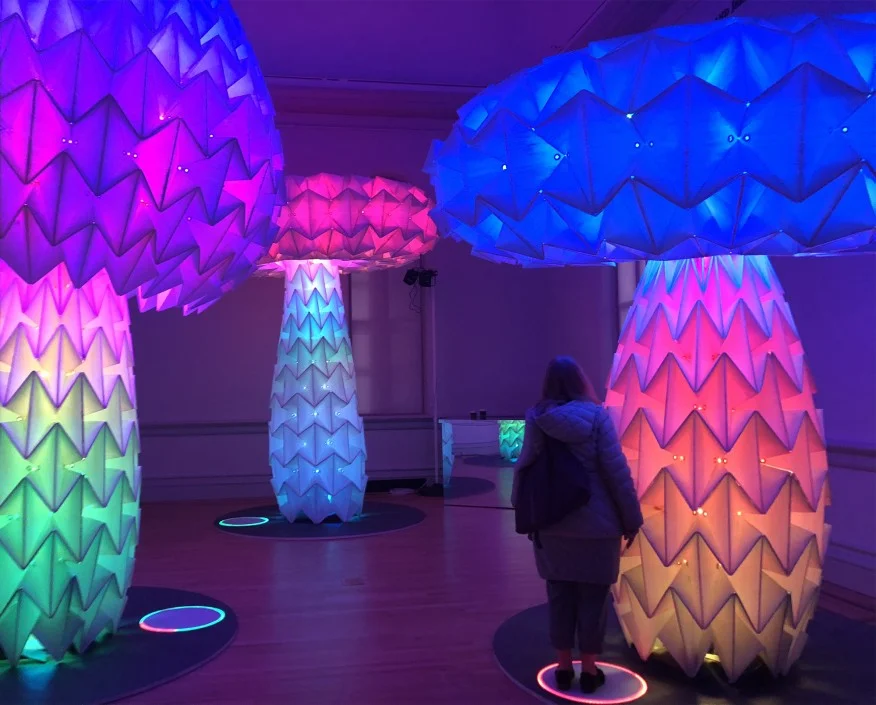 Burning Man Arrives in D.C.