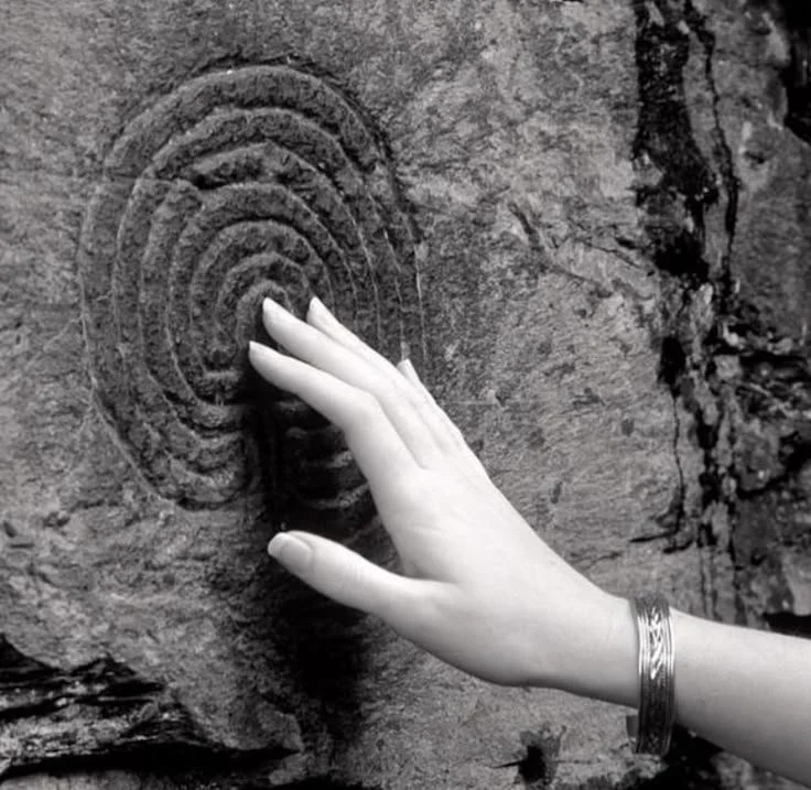 A person with a silver bracelet on their wrist is touching a tree trunk with their hand, positioned over a carved spiral pattern in the bark.