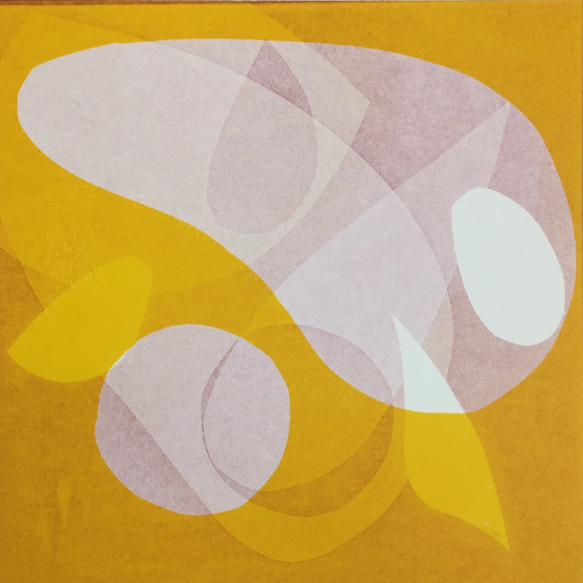  Monotype on Mowhawk Superfine Cover-weight paper. 