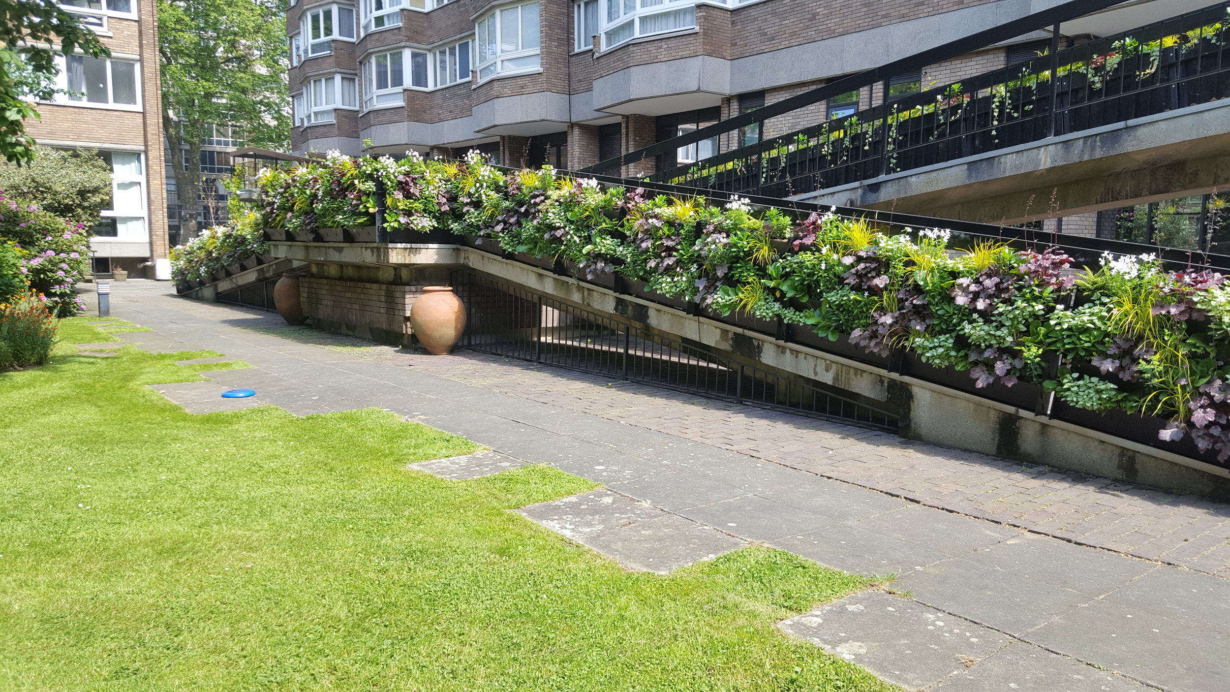 20180521_110017.jpg