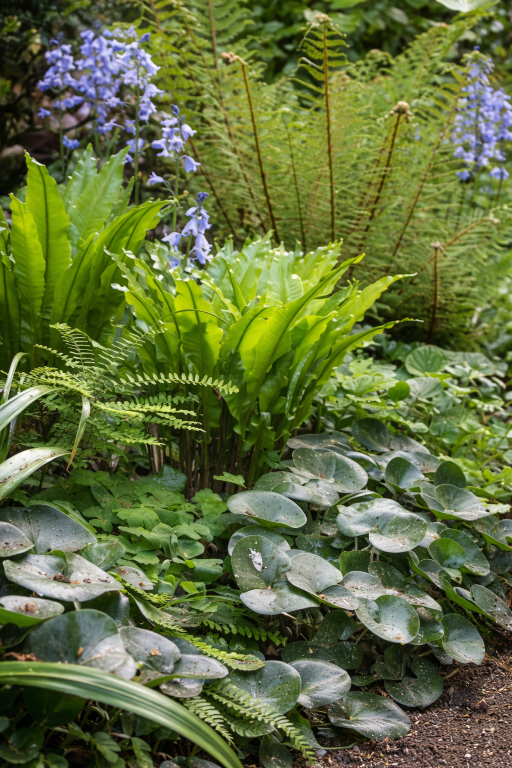 Garden with flower bed