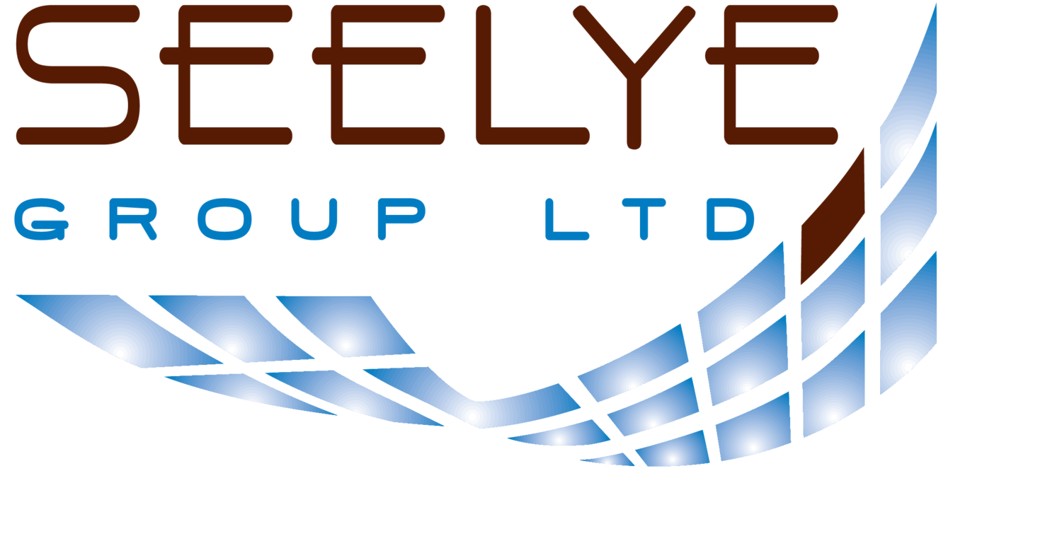 Seelye Group LTD