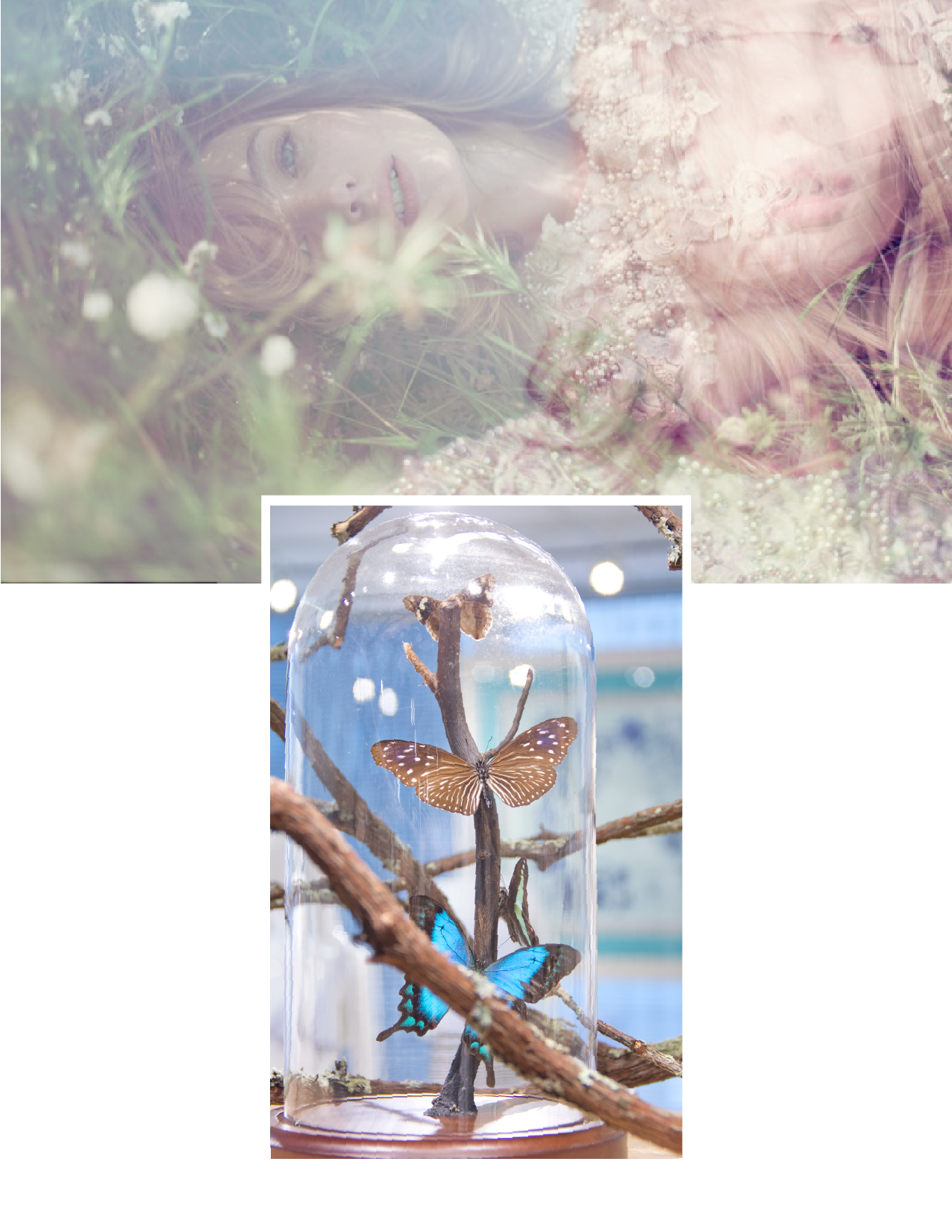   Spring Collection: Main Line. LOFT &gt; ANN Inc.    Scarf Designs are Original, Artworks are Collaboration of Design with Print Design.  