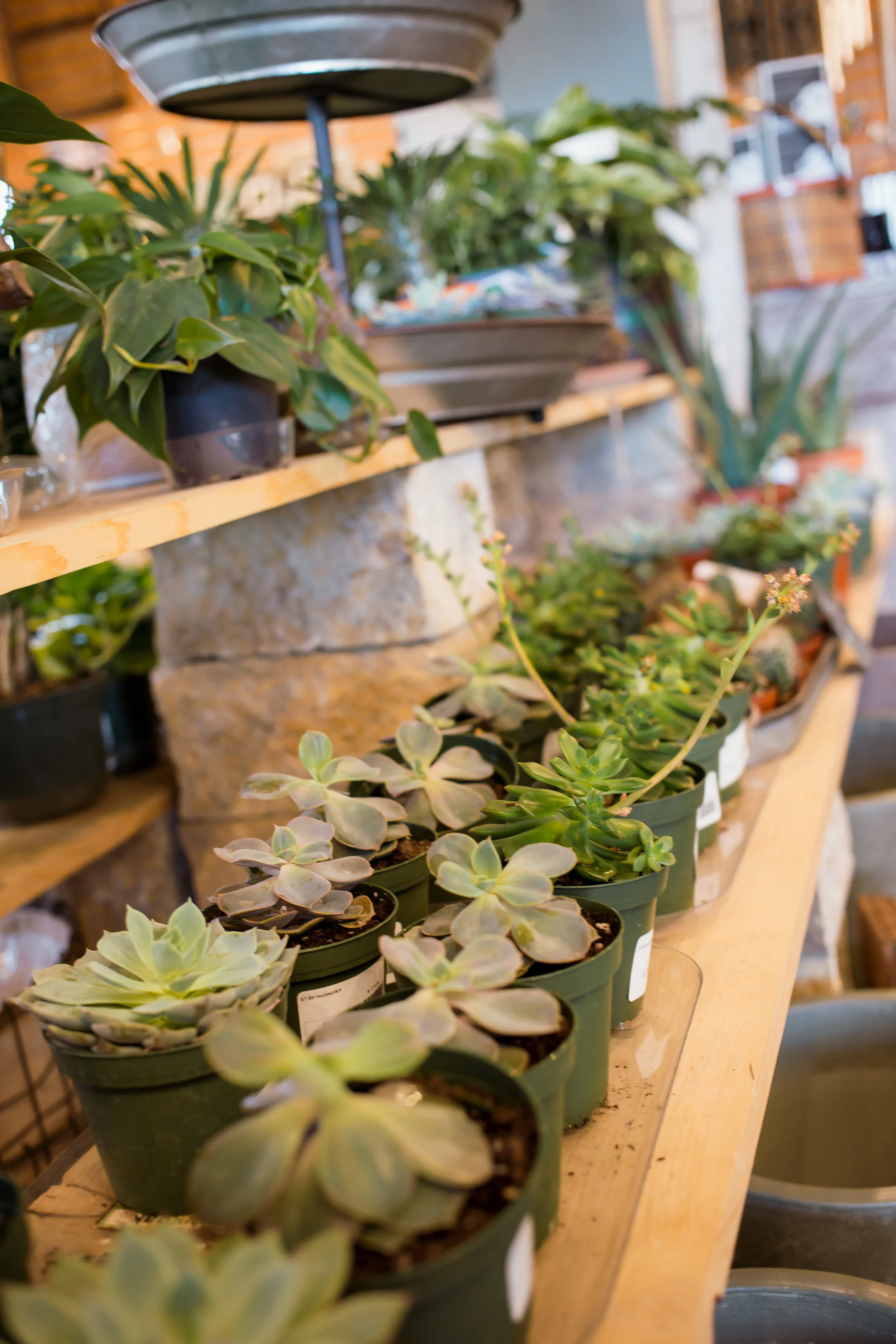 Iowa City Landscaping