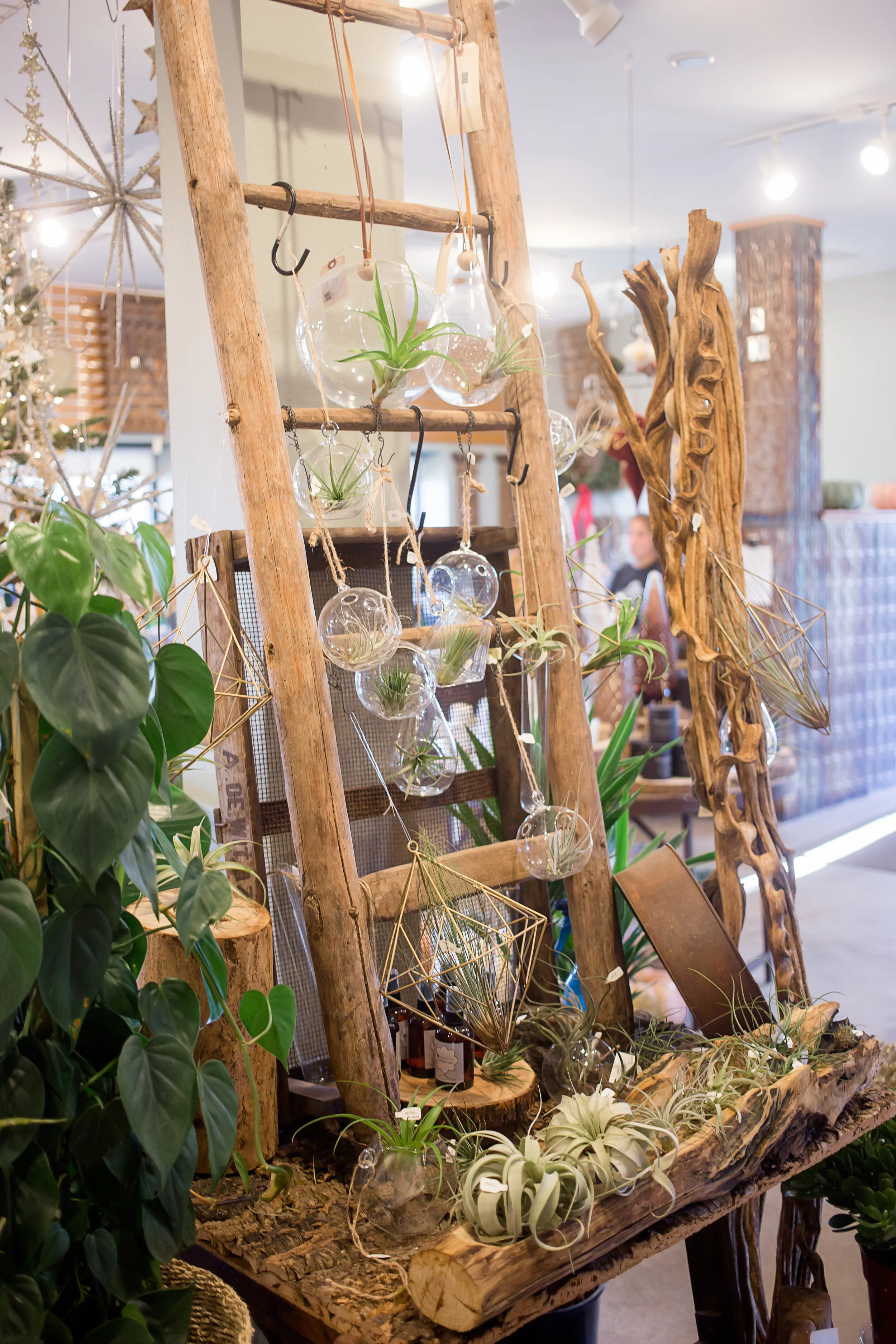 Iowa City Landscaping