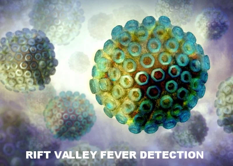 rift valley fever.jpg