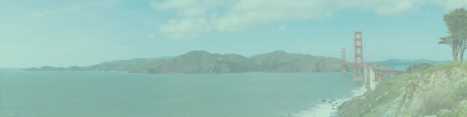 sf_4.jpg