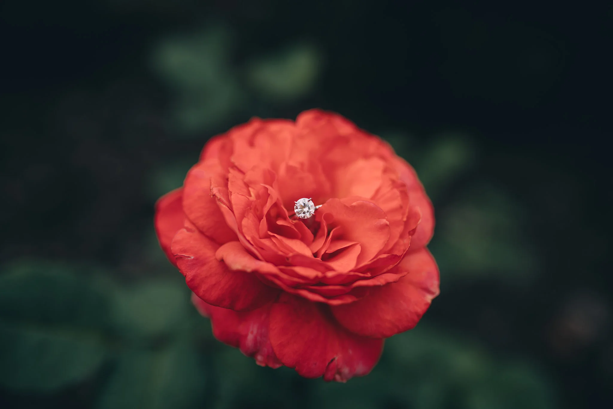 JTEngagement-16.jpg