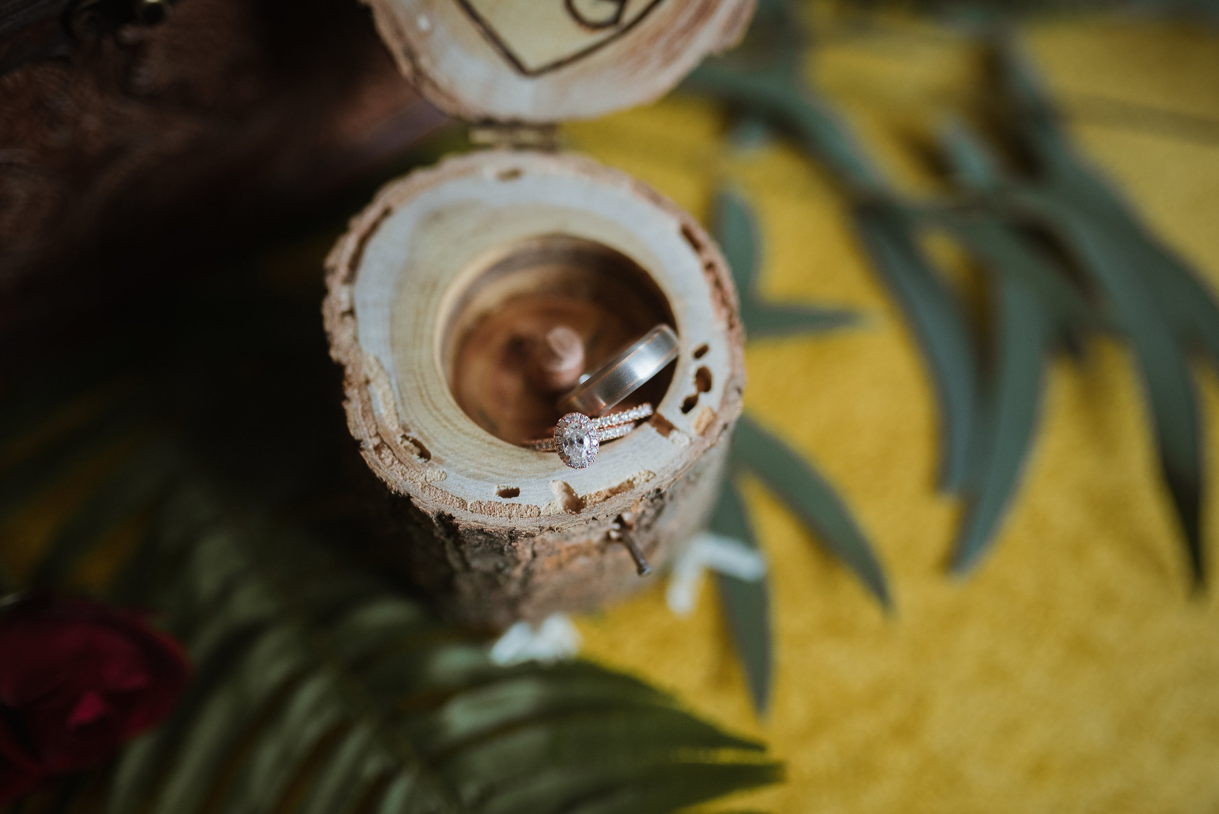 raleigh wedding photographer - north carolina wedding photographer