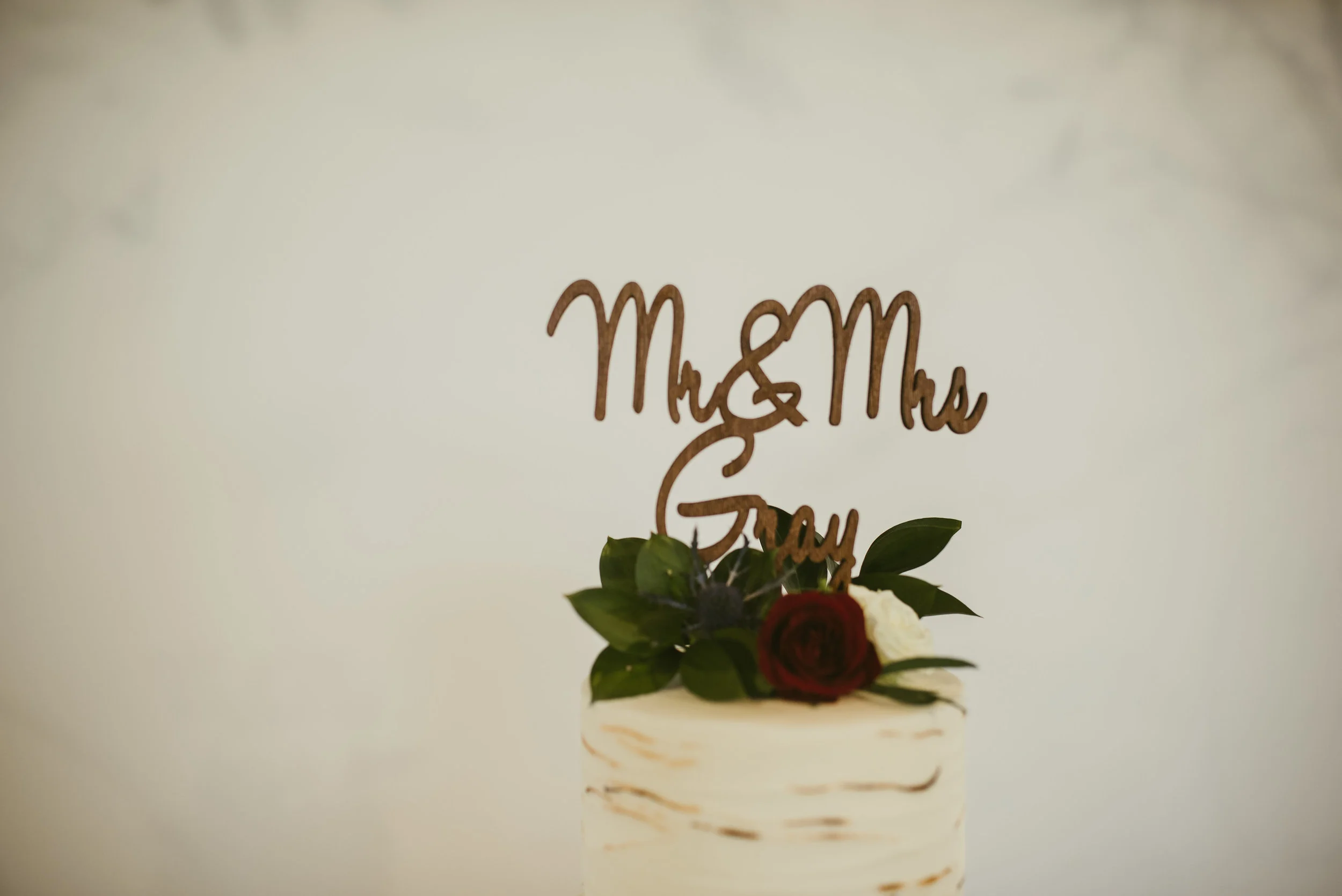 raleigh wedding photographer - north carolina wedding photographer