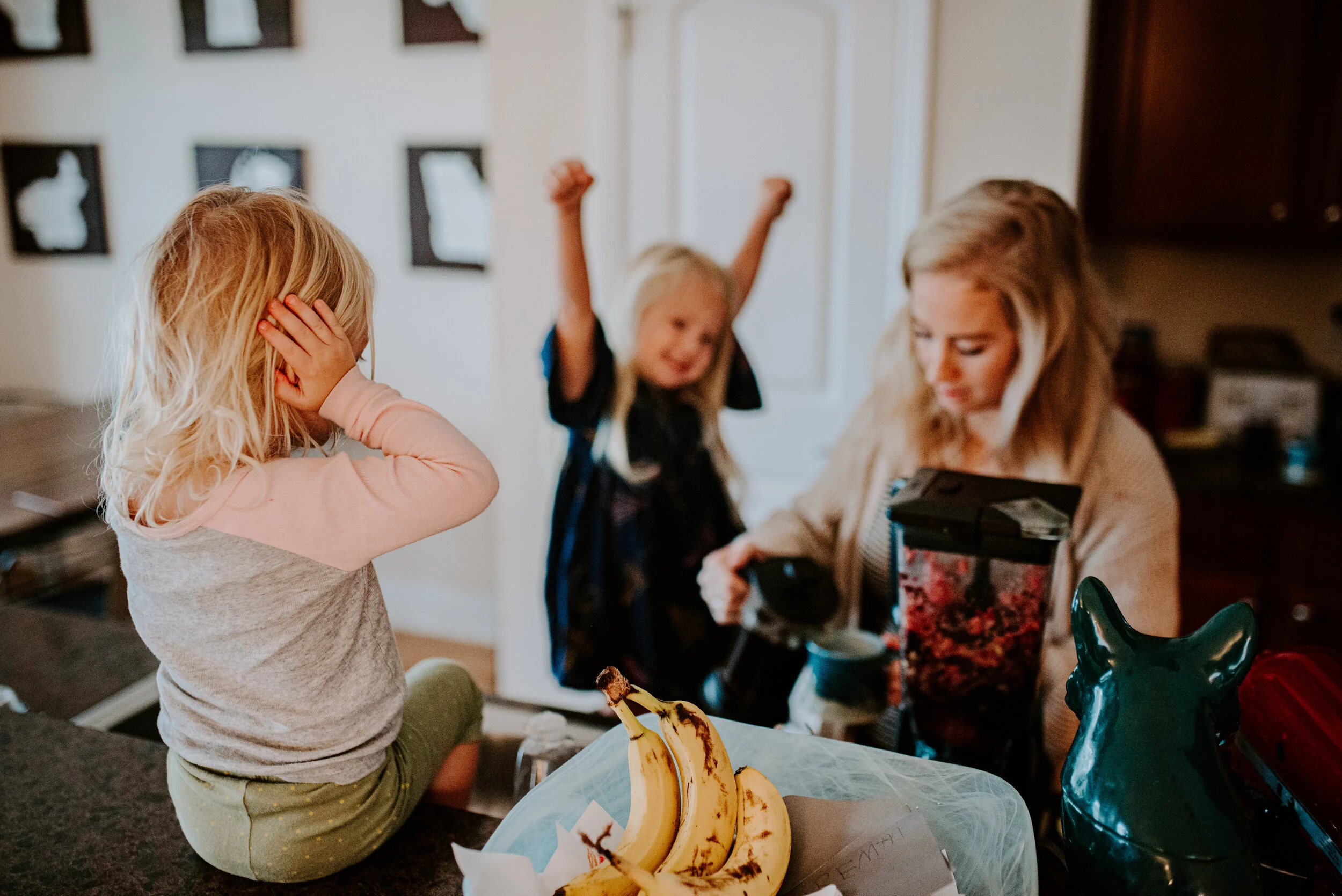 Raleigh Photographer - North Carolina family photographer - in home family session - in home engagement