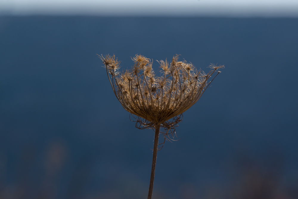 5  Autumn landscape.jpg