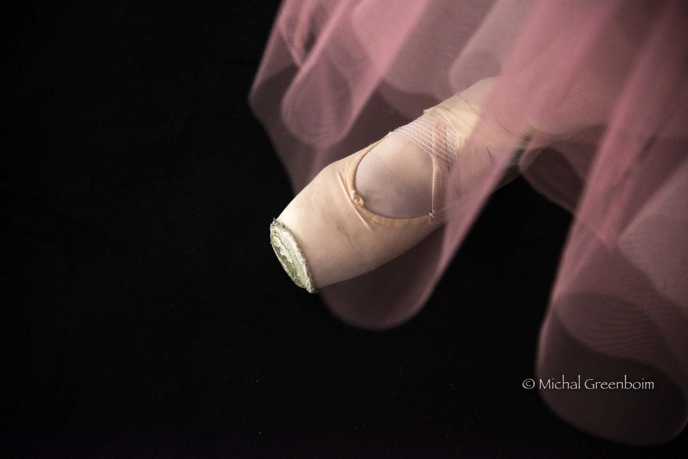 Ballet Slipper