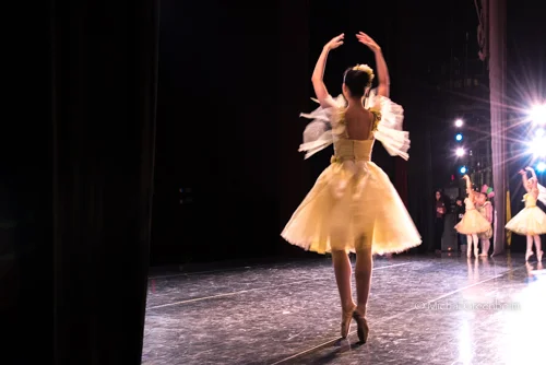 The Spotlight