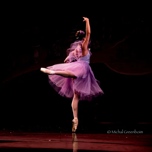 Solo Dance
