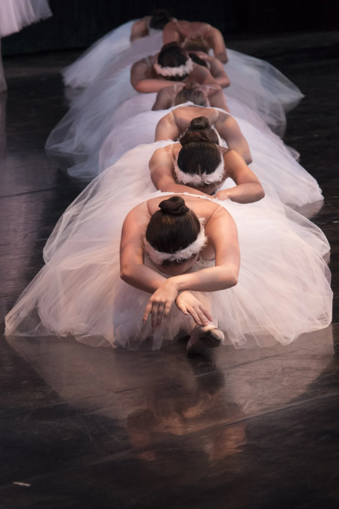 Greenboim Michal swanlake-3.jpg
