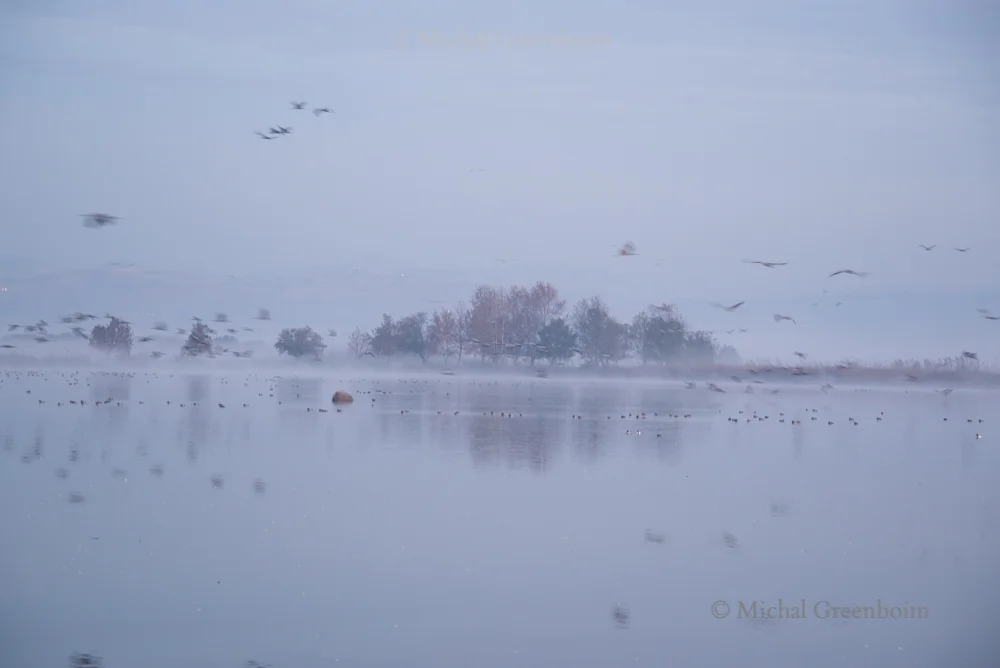 1Chula Lake Michal Greenboim.jpg