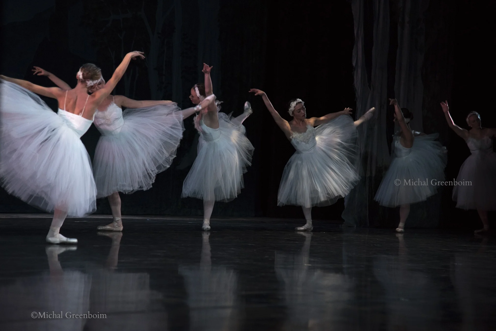 Greenboim Michal swanlake.jpg