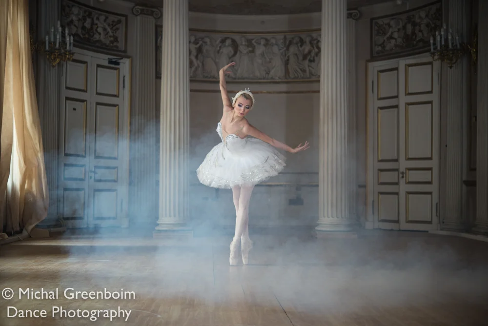 Michal greenboim-the swan  print-_.jpg