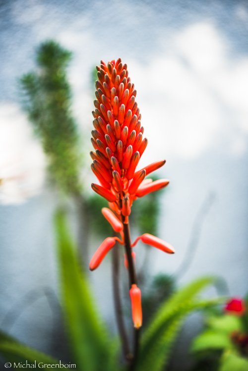 susan garden-365.jpg