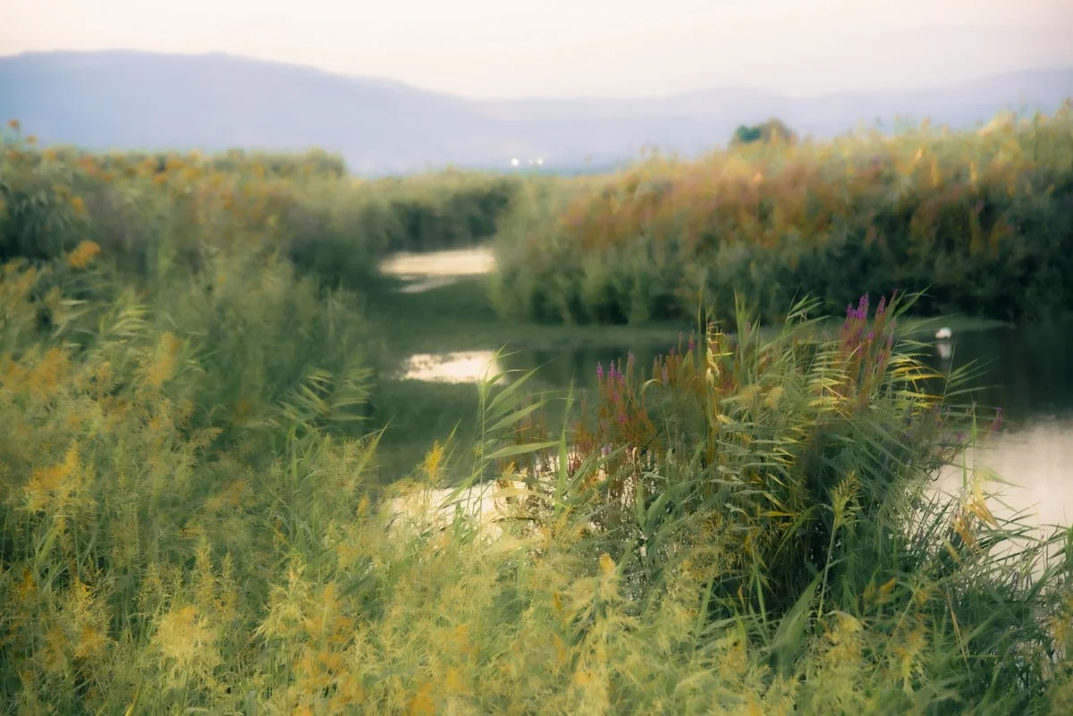 The World Through My Lens: A Photographer's Perspective