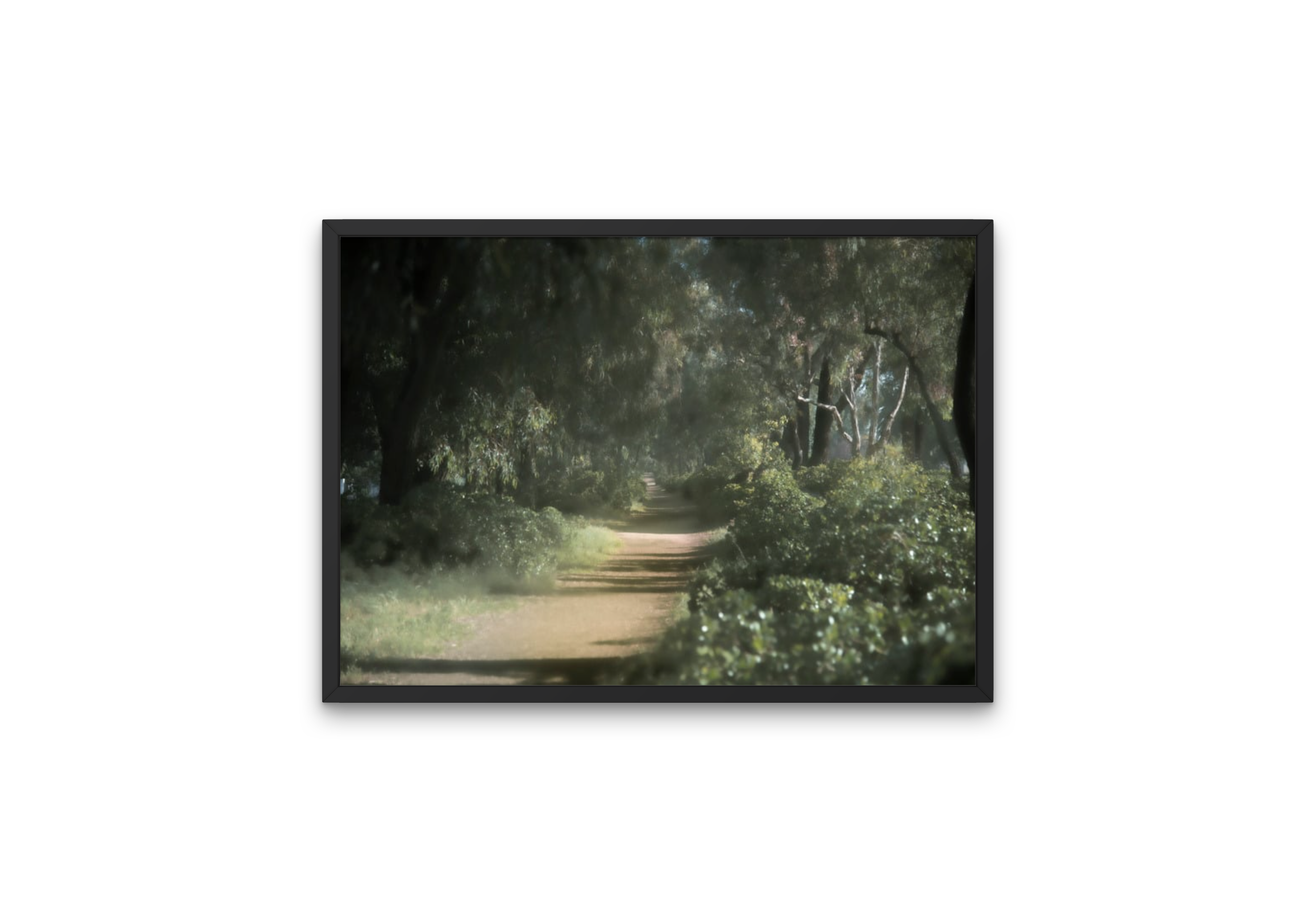 habotnim framed 2.PNG