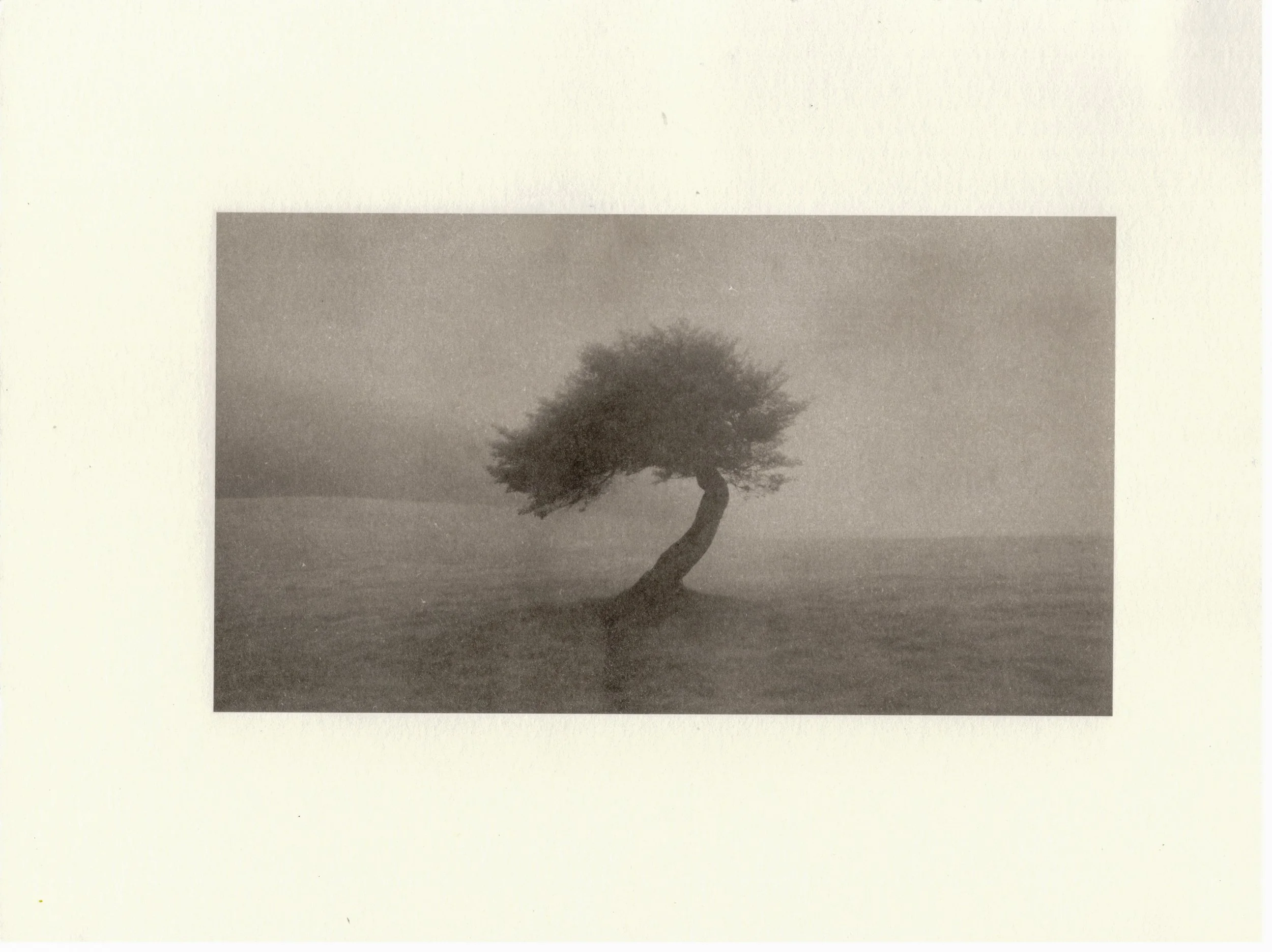 From Light to Code to Metal: Why I Run My Images Through AI and Bring Them Back as Platinum Prints