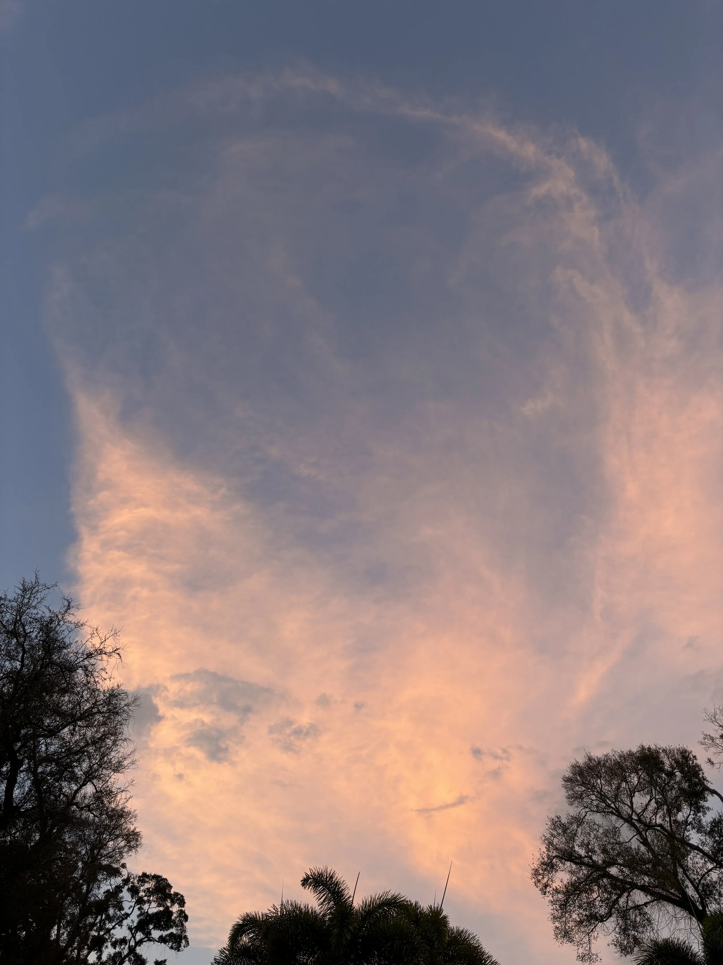 fire on the mountain 