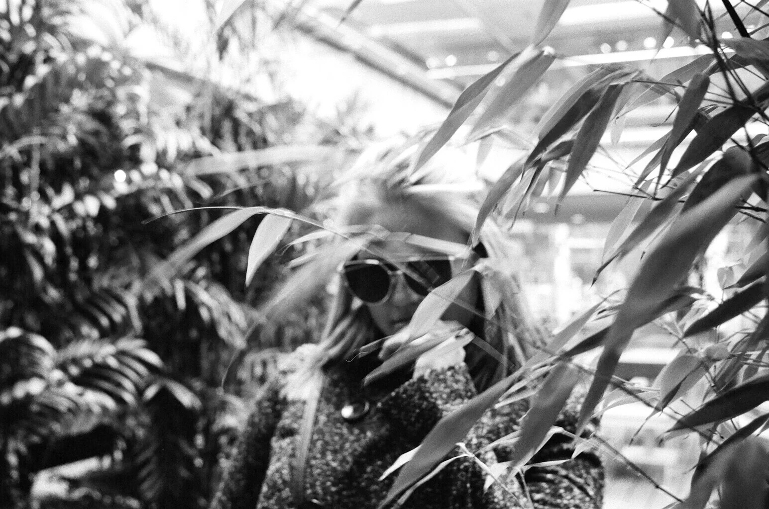 Thoughts and Leaves.jpg