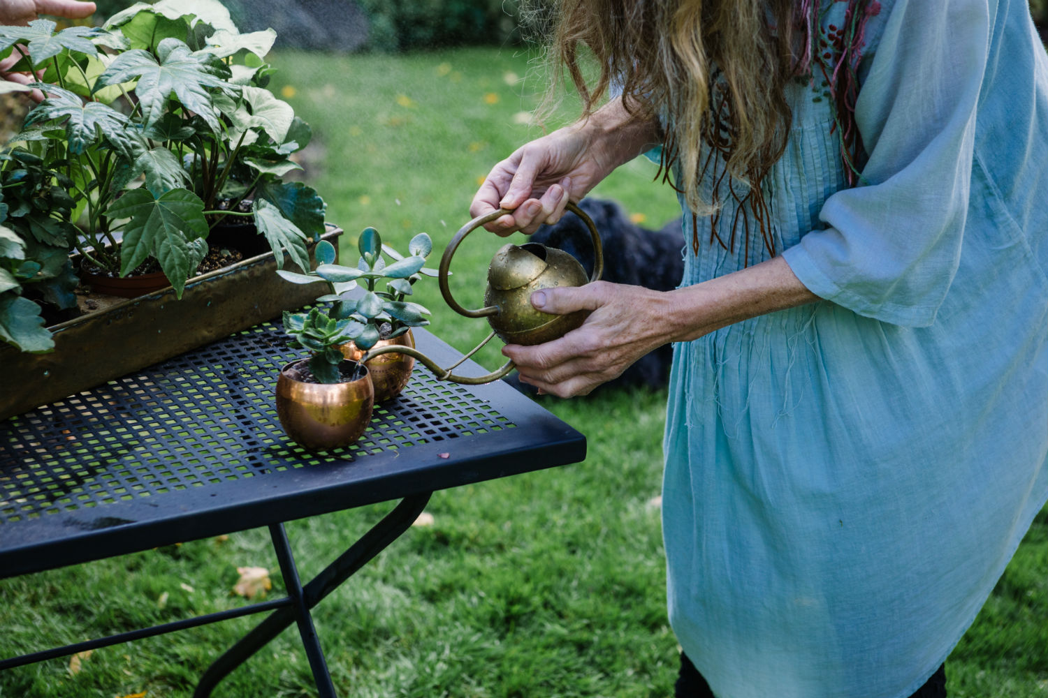 therapeutic-gardening.jpg