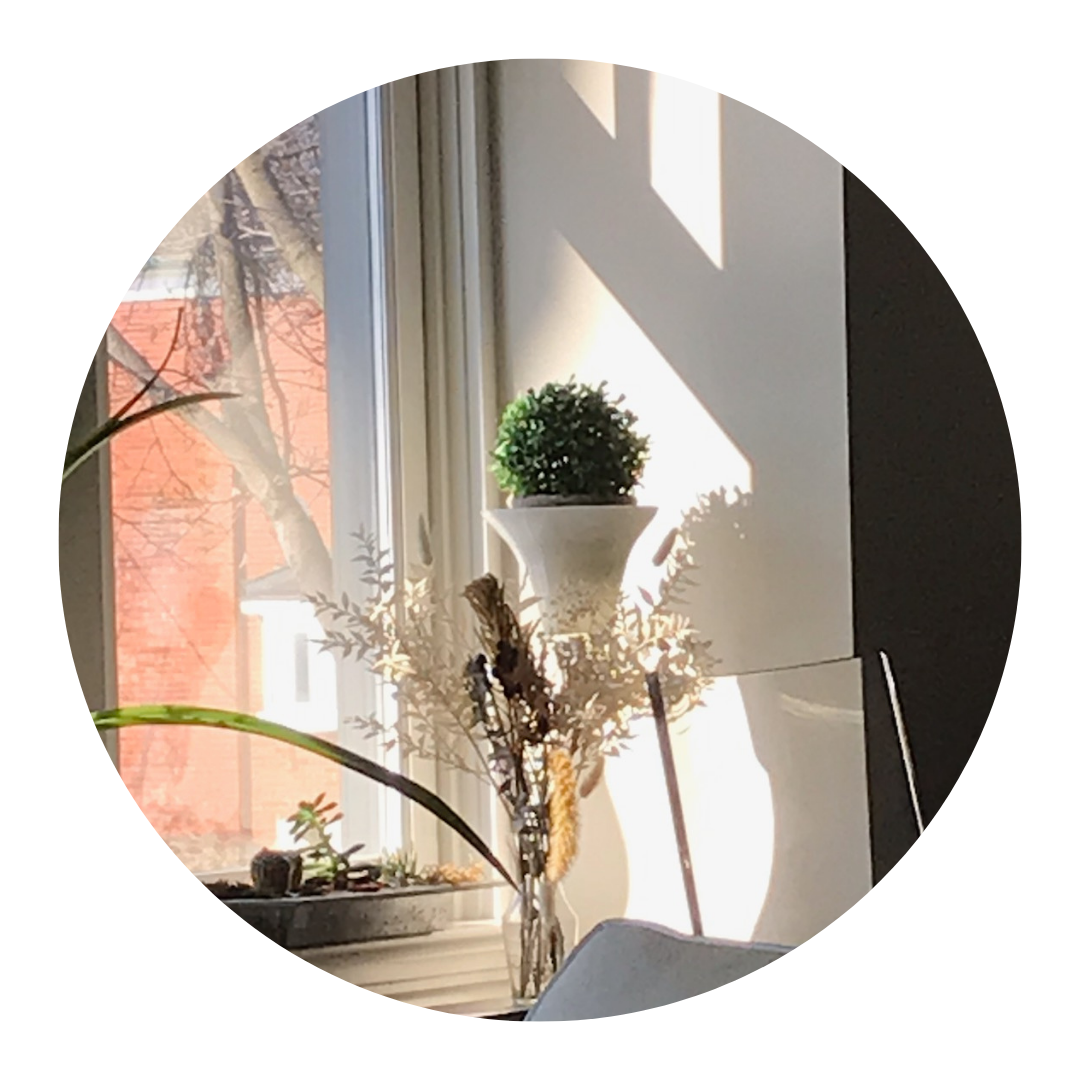 View from a home window with sunlight, trees, and rooftops — a quiet moment that reflects the Forest Bathing Studio Online experience guided by Emma Rooney.