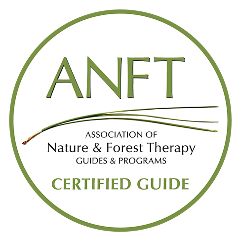 Logo of the Association of Nature and Forest Therapy.