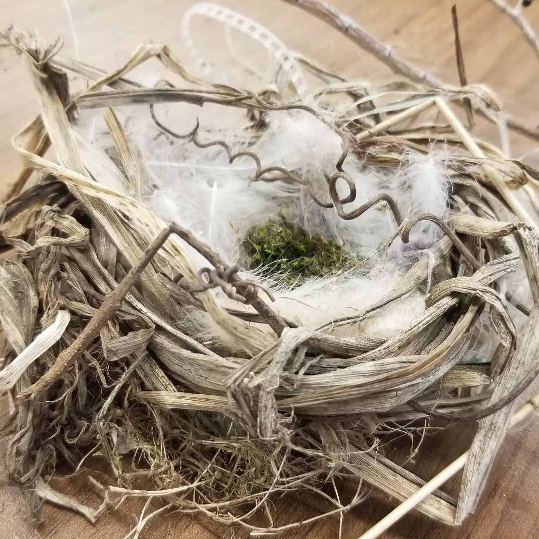 Out and about at the Kimel&nbsp;Family Centre for Brain Health and Wellness this week, and hearing all the birds, inspired me to introduce one of my favourite nature-inspired activities, nest making. You don't need binoculars to try looking at the wo