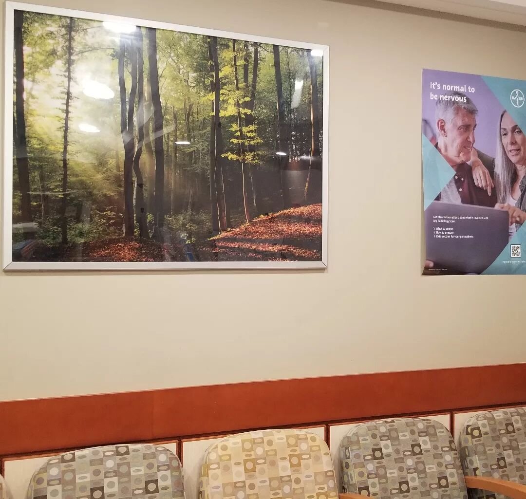 Filling my nature prescription in the MRI waiting room. How easy was that to take a green micro-break looking at the forest scene? Never mind the posters telling me it's normal to be nervous. Give me something relaxing to look at instead. #naturepres
