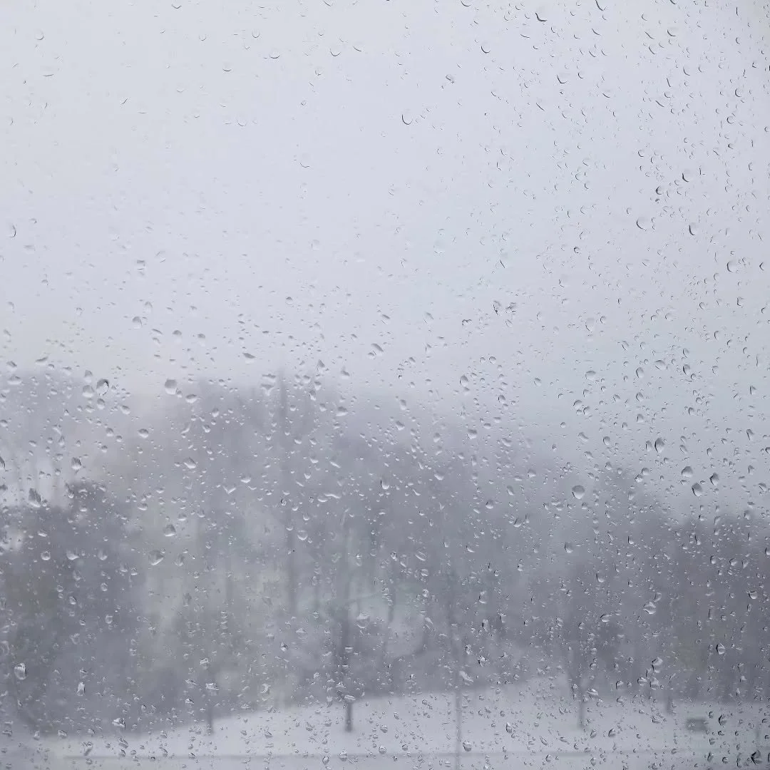 Anything is possible in spring!