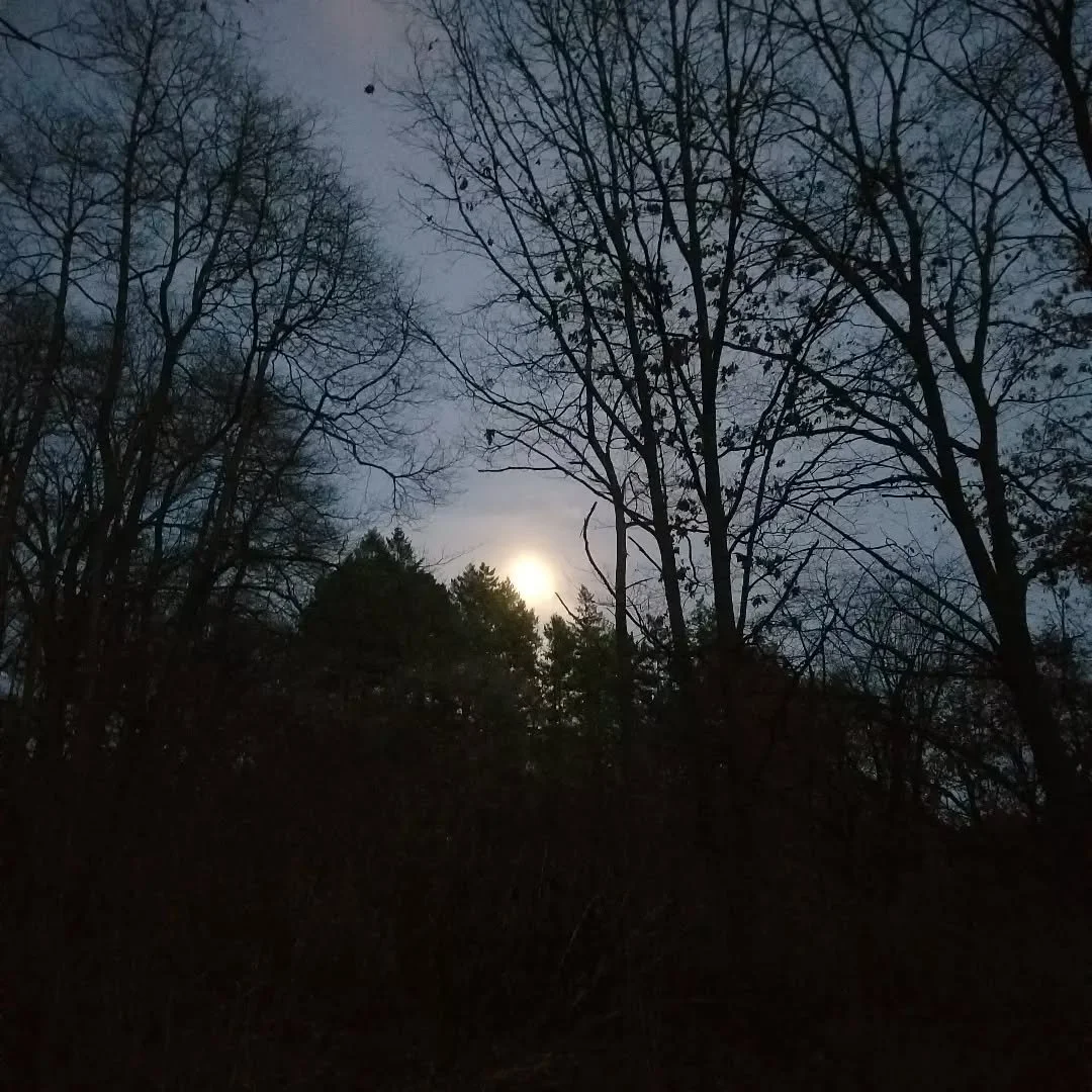 A dusky walk seems like a nice way to embrace the dark.