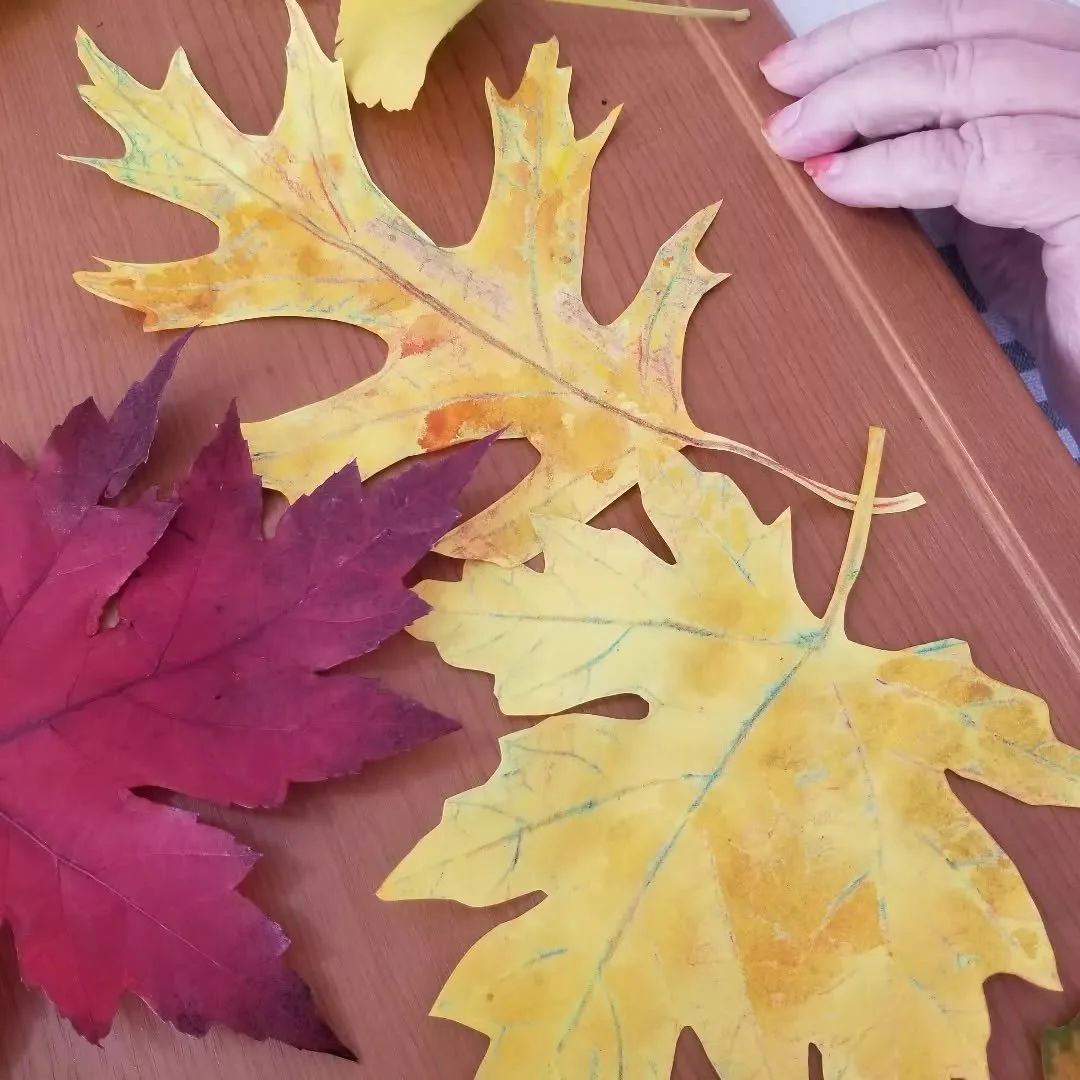 Admiring leaves with the tips of our fingers and making leaf rubbings. @copernicuslodge #horticulturaltherapy