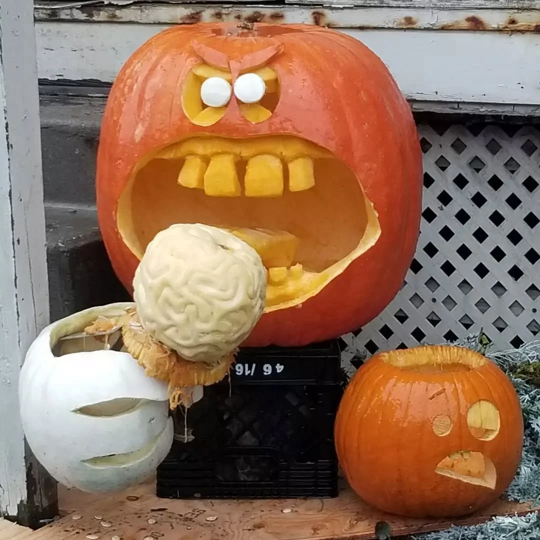 This explains it... My brain on days I skip going outside on my lunch break. #pumpkinwisdom