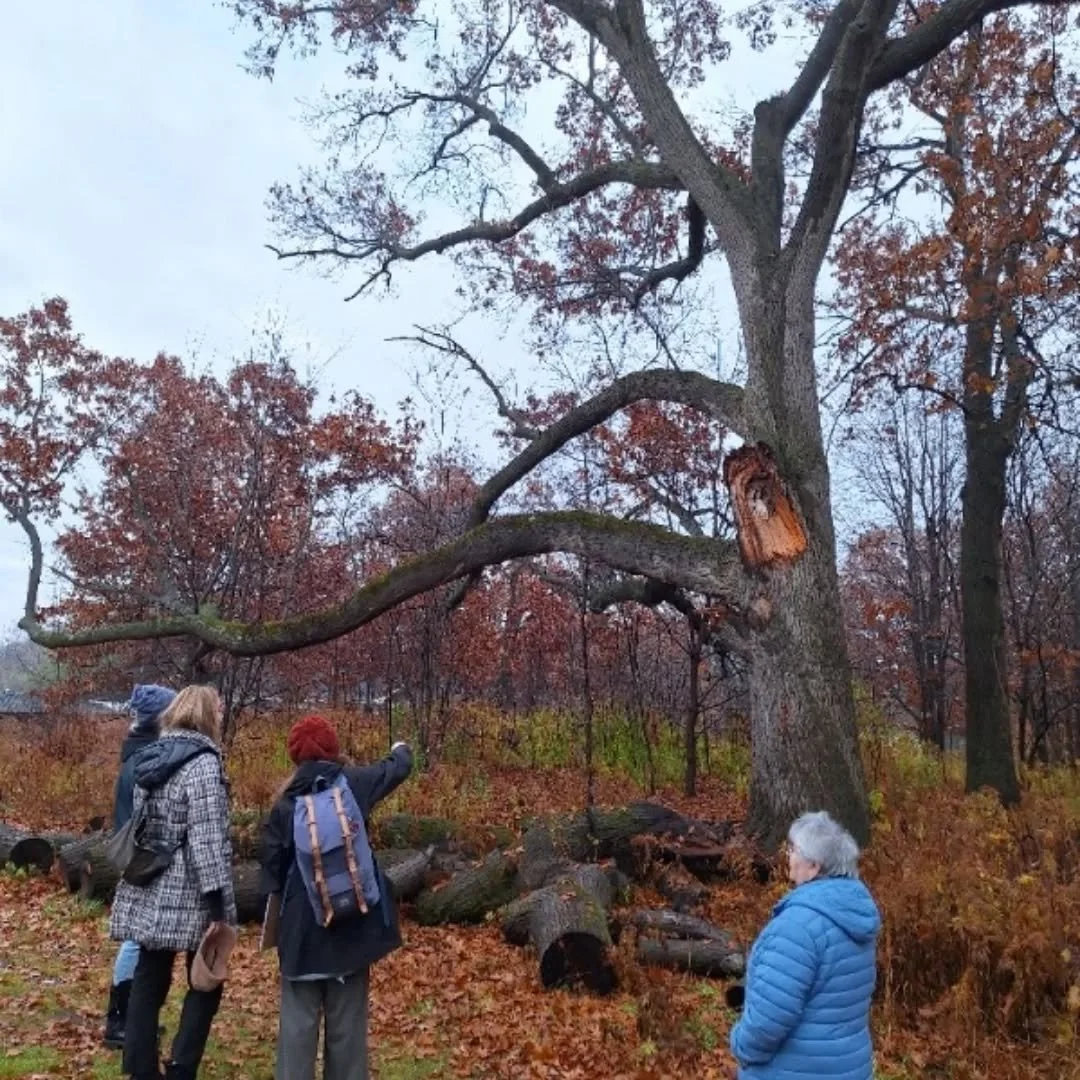 This morning&rsquo;s Talk to a Stranger forest bathing walk in High Park with @genwellproject and @nftc.sinc was a reminder of how simple moments of connection can shift a whole day.
We arrived with umbrellas and a bit of hesitation, and soon eased i