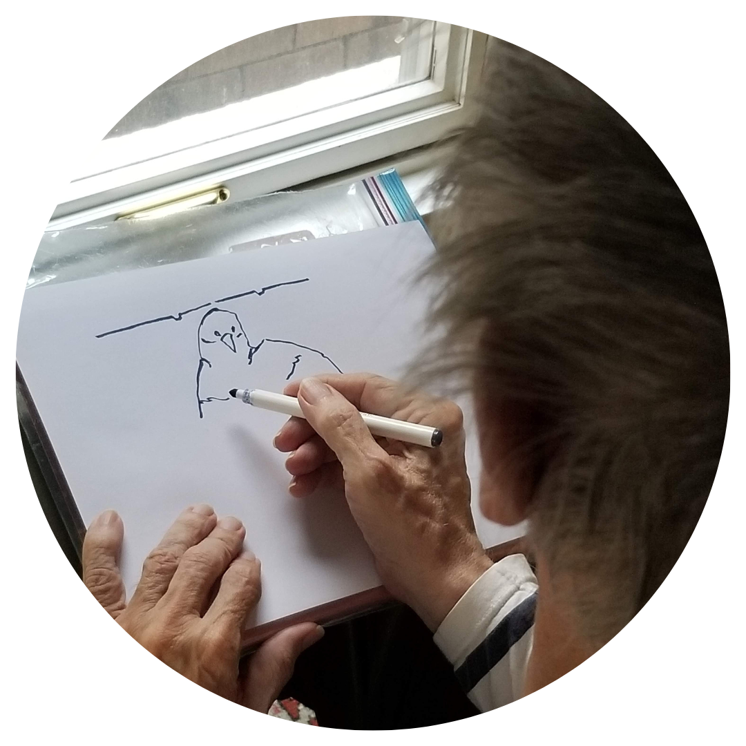 Person sketching a bird seen through a window while seated indoors.