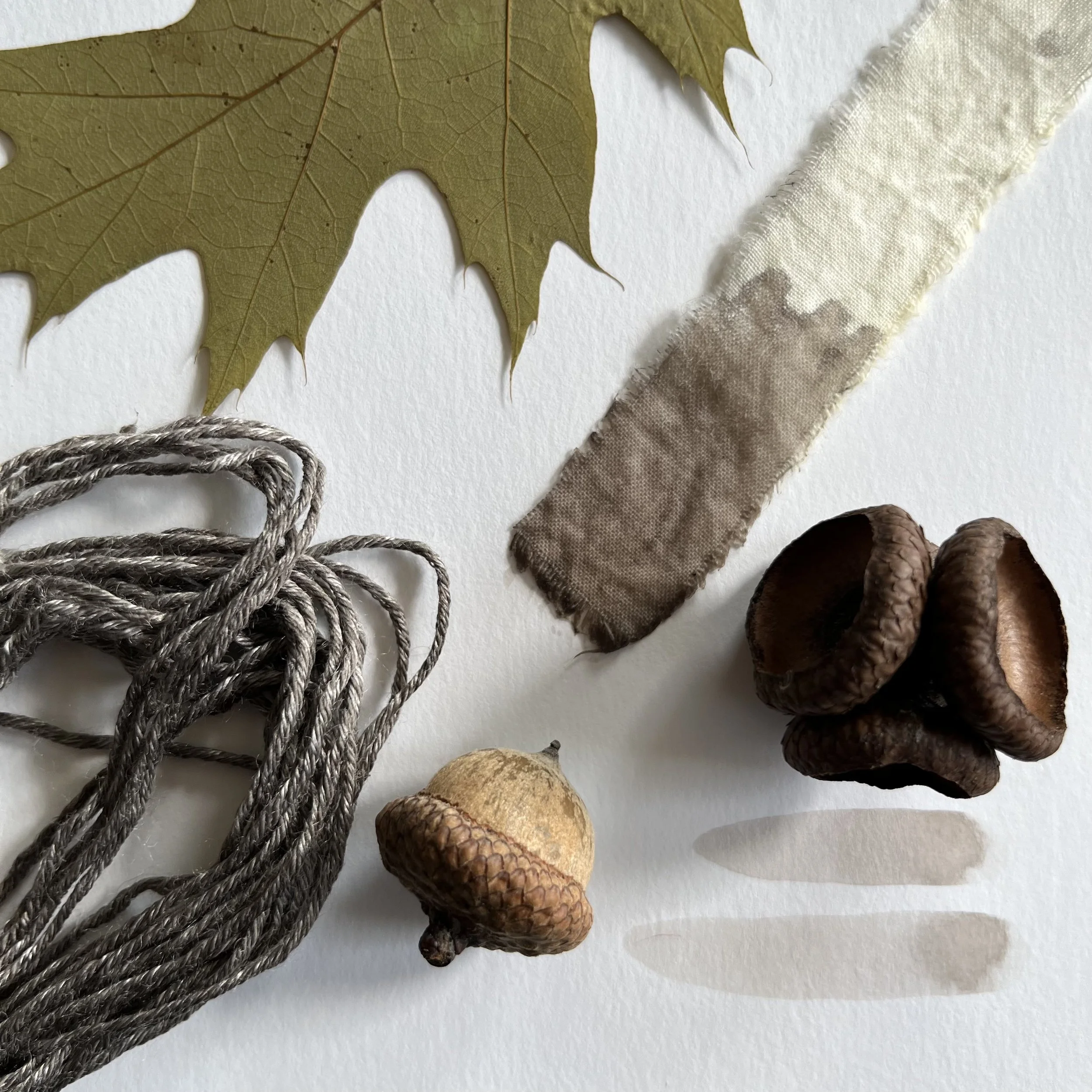 Acorns, an oak leaf, and a fabric swatch hand-dyed with acorn-cap pigment. Image by Erin MacKeen.