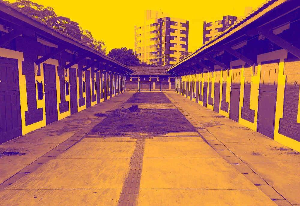 Gop Tun e ODD nas baias do Parque Chácara do Jockey
