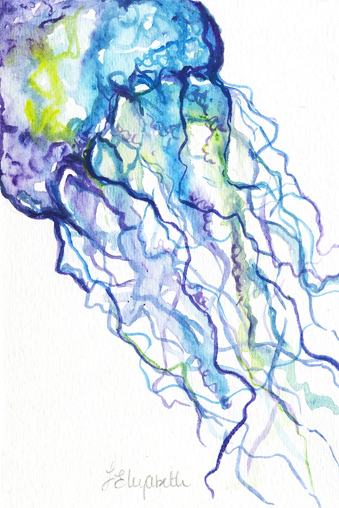 Blue Jellyfish web ready.jpg