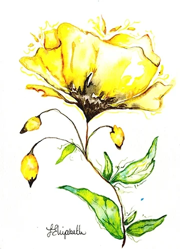 yellow rose web ready.jpg