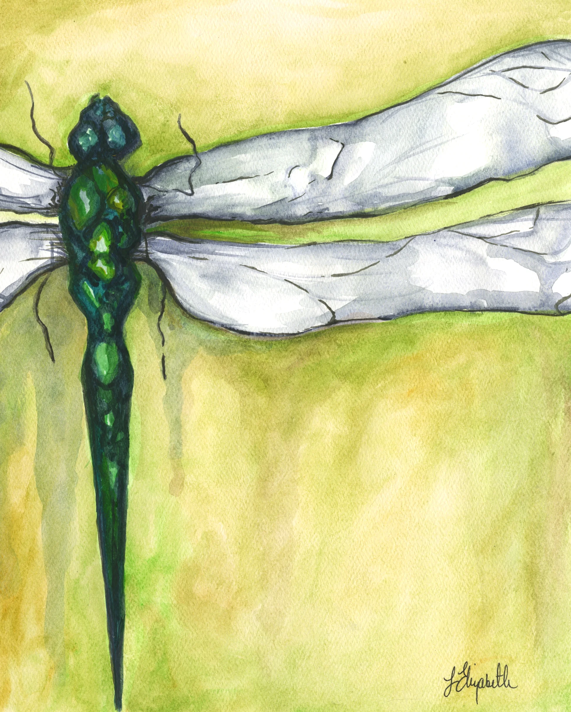 Dragonfly