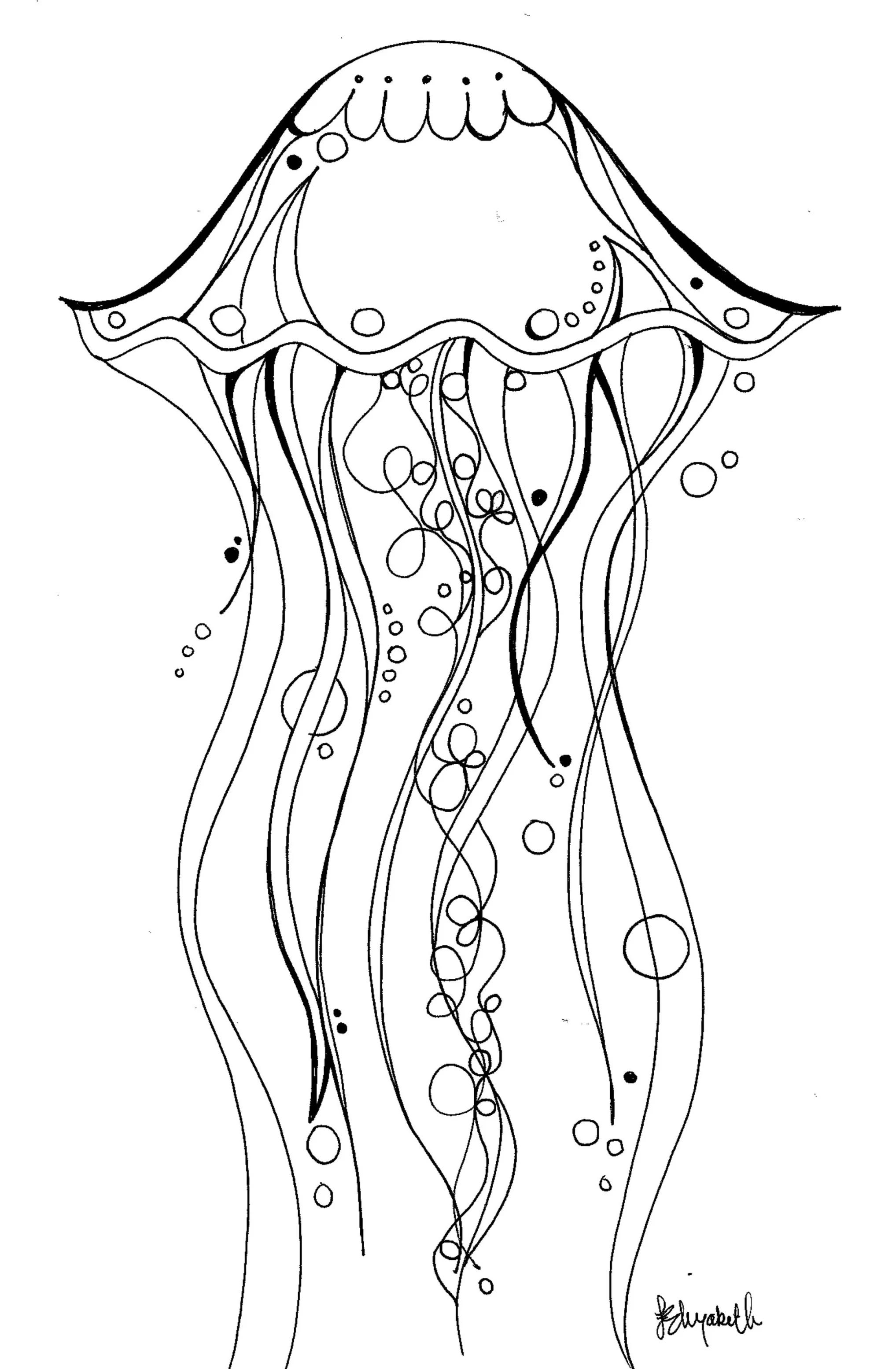 Jellyfish+3.jpg