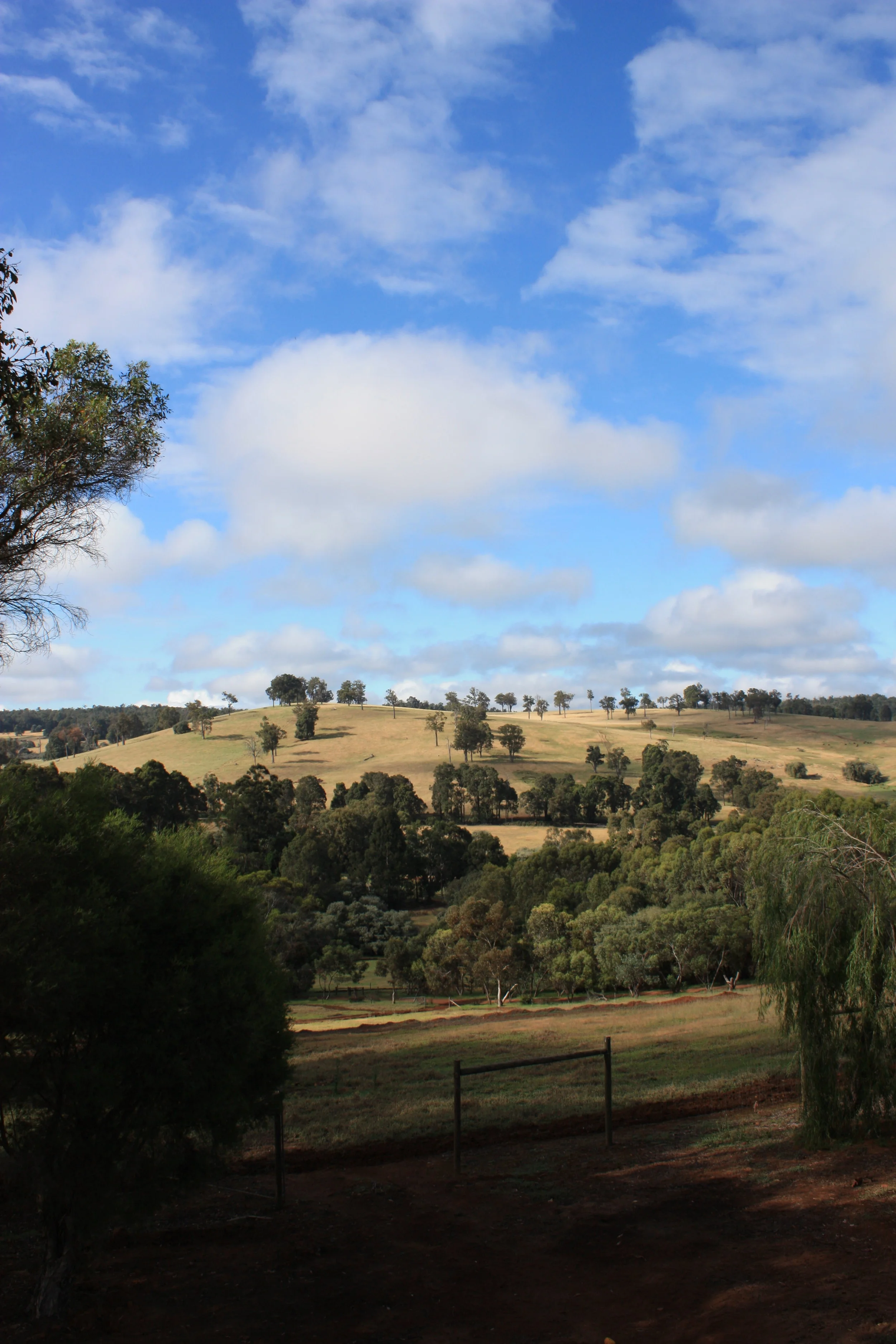  Witts End South - View from deck 