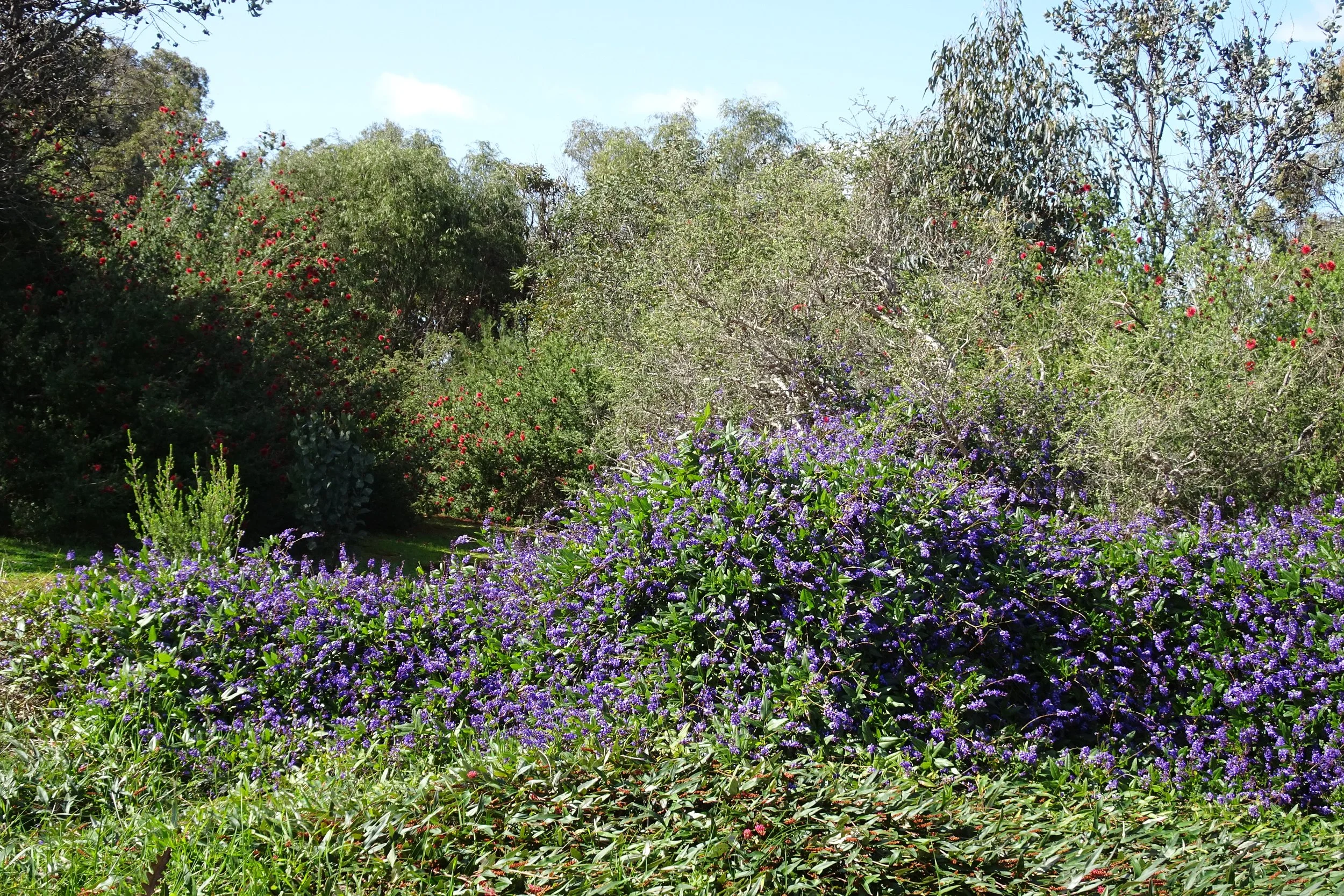  WITTS END SOUTH - GARDEN 